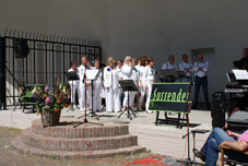 Uitvoering 2013 Schagen Muziektuin (20).jpg